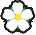 gallery/White_Rose_favicon